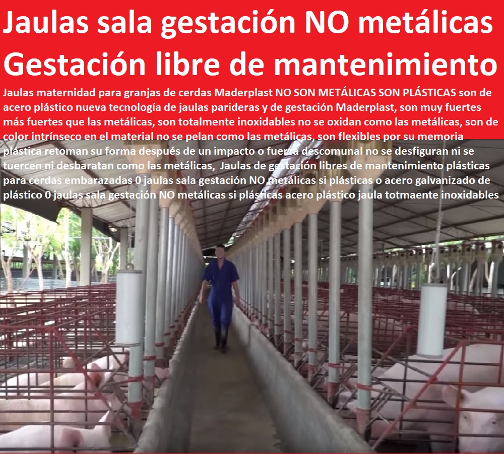 Jaulas de gestación libres de mantenimiento plásticas para cerdas embarazadas 0 jaulas sala gestación NO metálicas si plásticas o acero galvanizado de plástico 0 lechonera, destete, jaula pre ceba porcinos, corraleja, ceba, engorde cerdos, porqueriza cría de lechones, pisos jaulas comederos, porcicultura jaulas, corrales, parideras, porcinas corral, gestación cerdas, parto cerda, jaulas sala gestación NO metálicas si plásticas acero plástico 0 jaula Jaulas de gestación libres de mantenimiento plásticas para cerdas embarazadas 0 jaulas sala gestación NO metálicas si plásticas o acero galvanizado de plástico 0 jaulas sala gestación NO metálicas si plásticas acero plástico 0 jaula